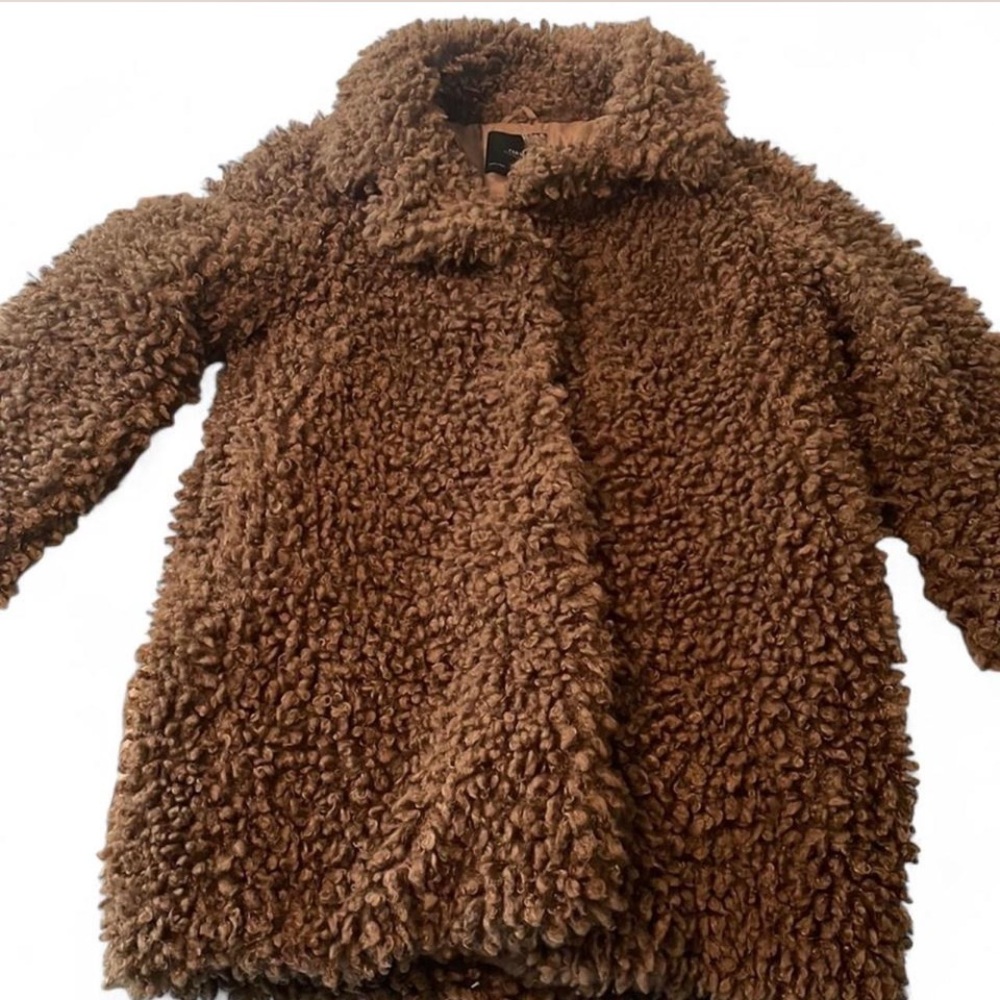 Zara Fuzzy Teddy Brown Jacket